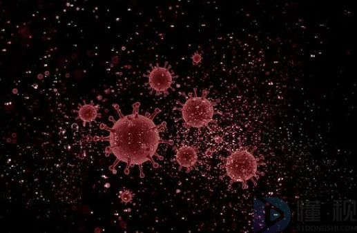 猴痘首次出现死亡病例 与继发细菌感染性休克有关